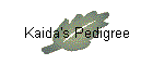 Kaida's Pedigree